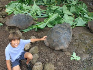 galapagos islands vacation