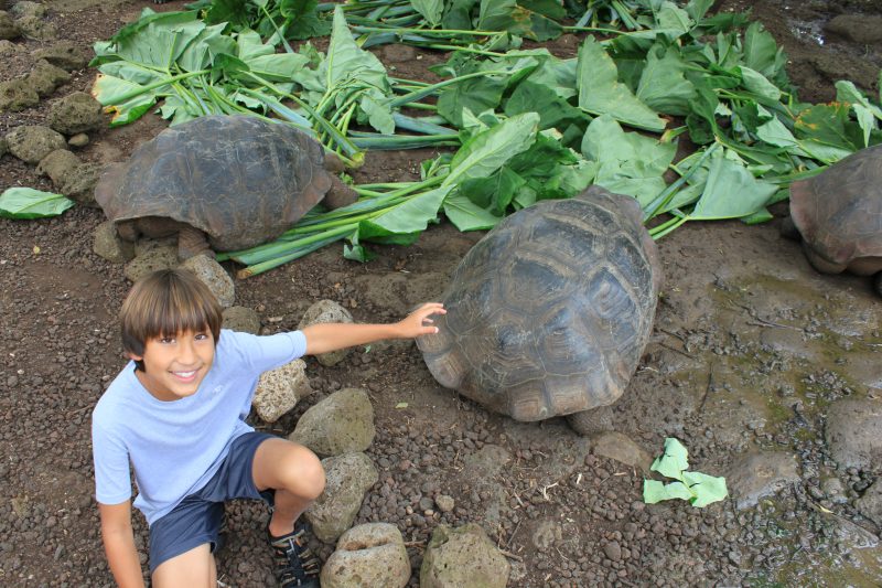 galapagos islands vacation