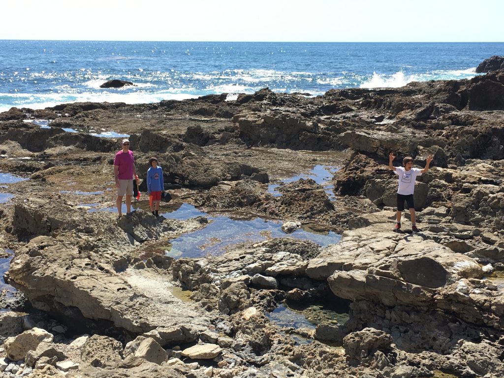 Palos Verdes Tide Pools Ounce of Salt