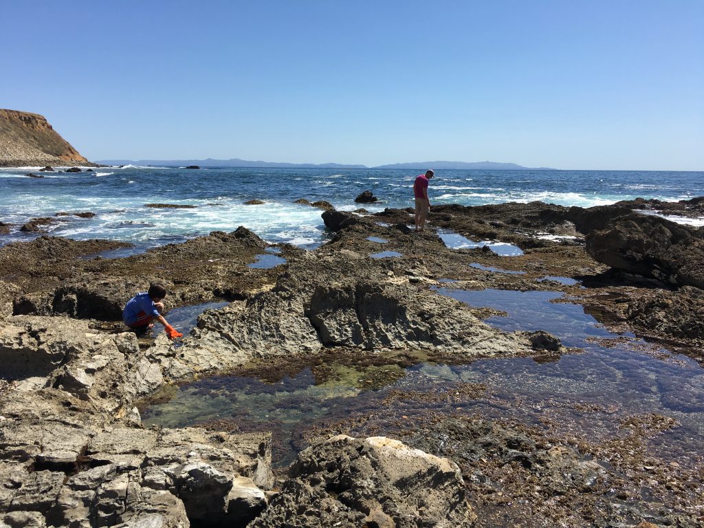Palos Verdes Tide Pools Ounce of Salt
