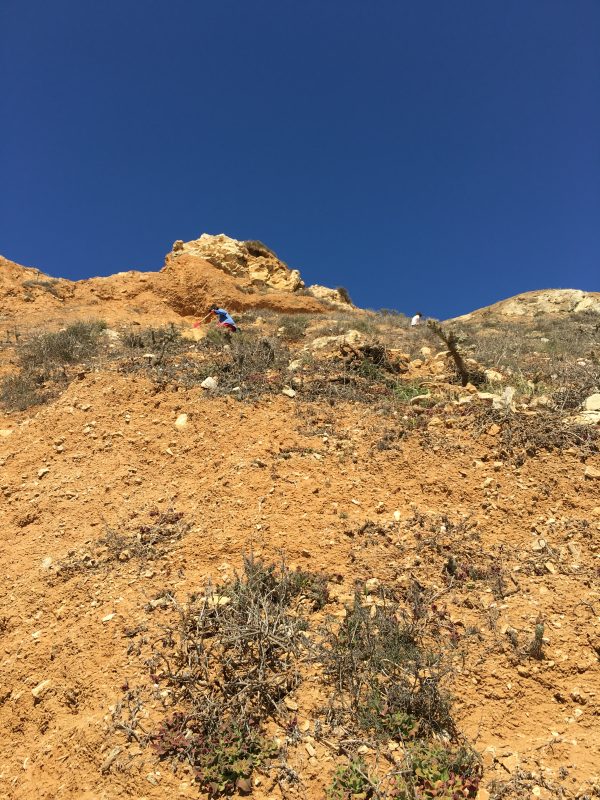 Palos Verdes Tide Pools Ounce of Salt