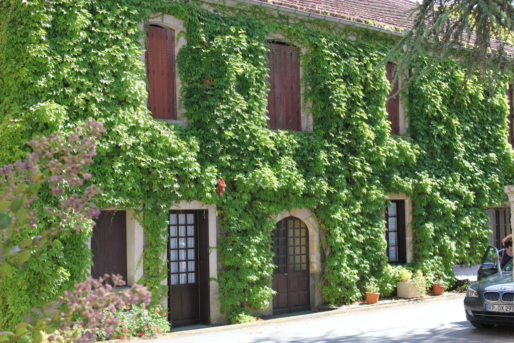 wine tasting bike tour through france