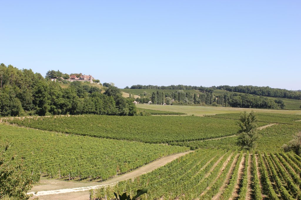 wine tasting bike tour through france