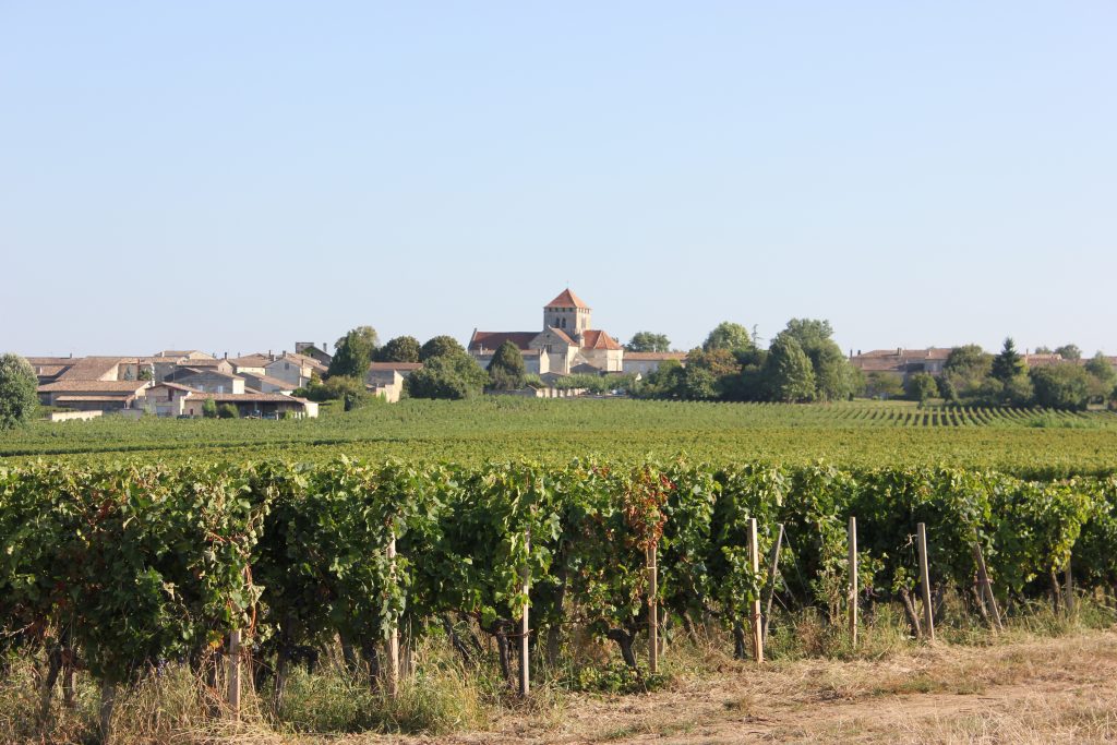 wine tasting bike tour through france