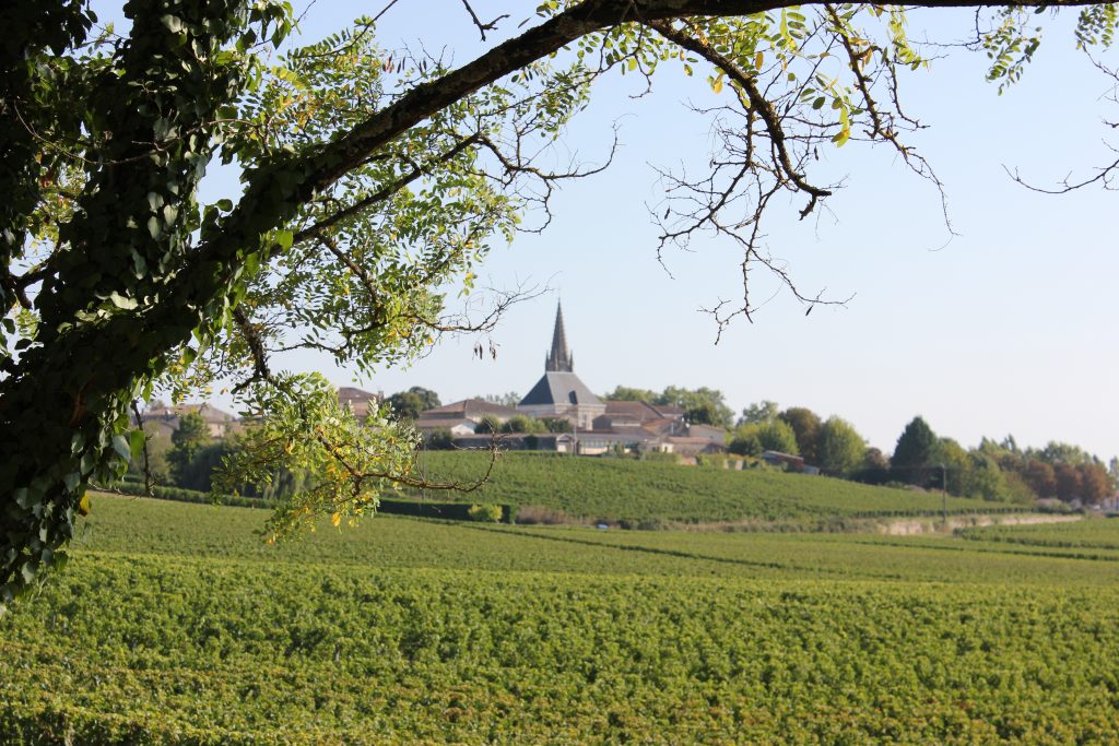 wine tasting bike tour through france