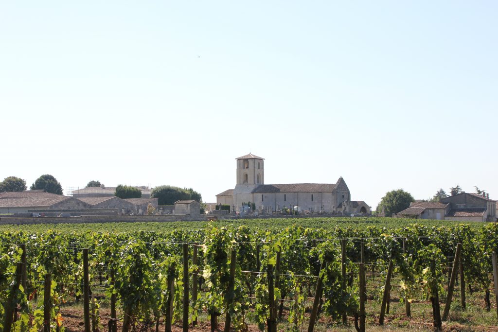 wine tasting bike tour through france