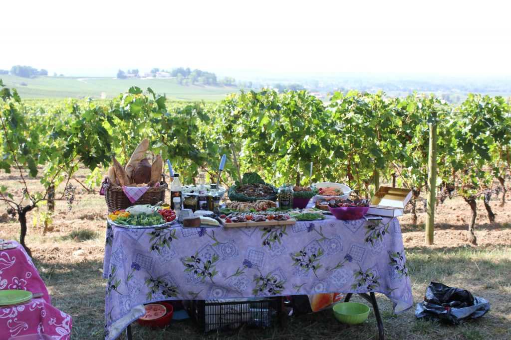 wine tasting bike tour through france