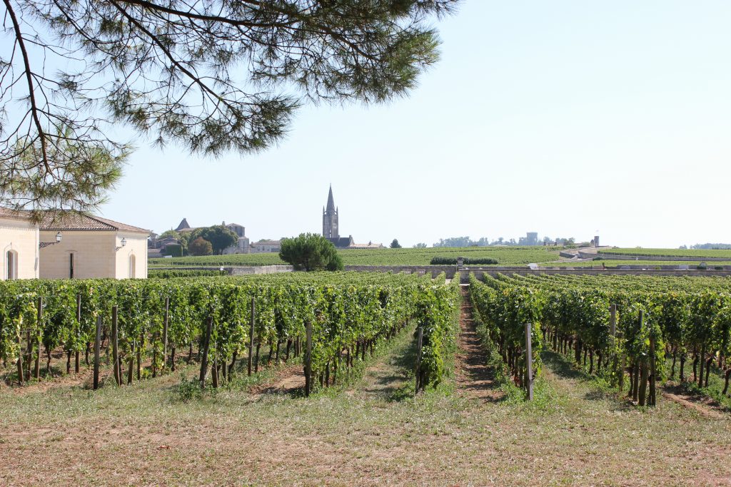 wine tasting bike tour through france