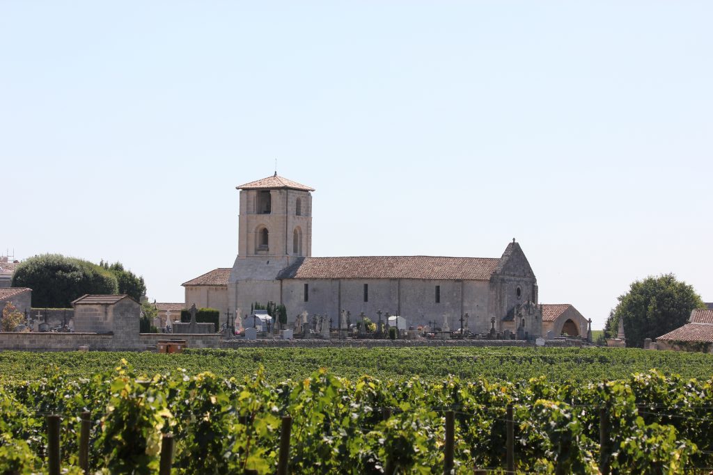 wine tasting bike tour through france