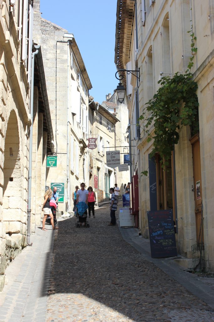 wine tasting bike tour through france