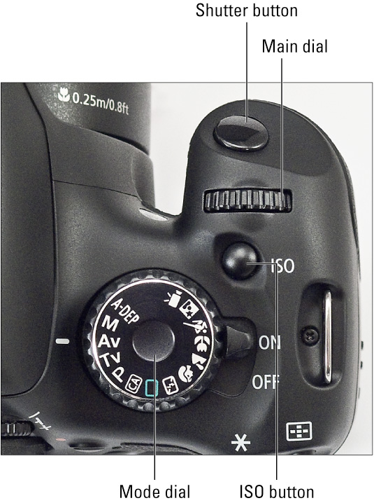 camera buttons