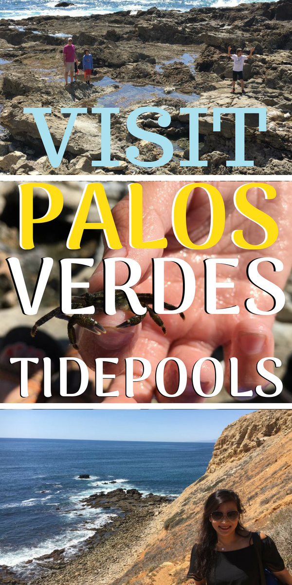 Visiting California and looking for a ocean hiking destination? Come visit the Paleos Verdes Tide Pools! Check out all the wonderful things to see in sunny CA! #ozofsalt #palosverdestidepools #visitcalifornia