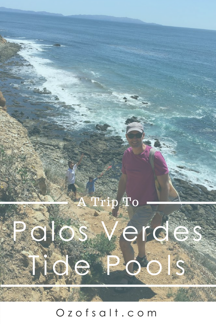 Palos Verdes Tide Pools