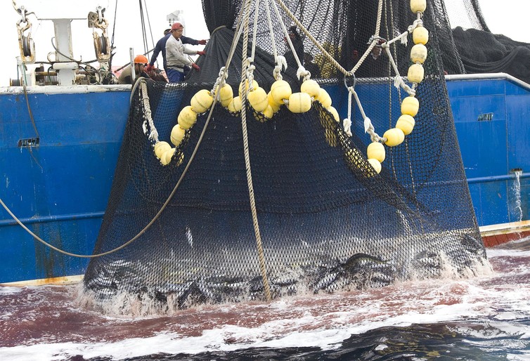 #ChangeYourTuna destructive tuna fishing