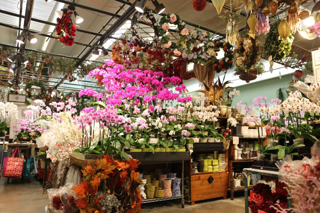 orchids everywhere at the Los Angeles Flower Market 