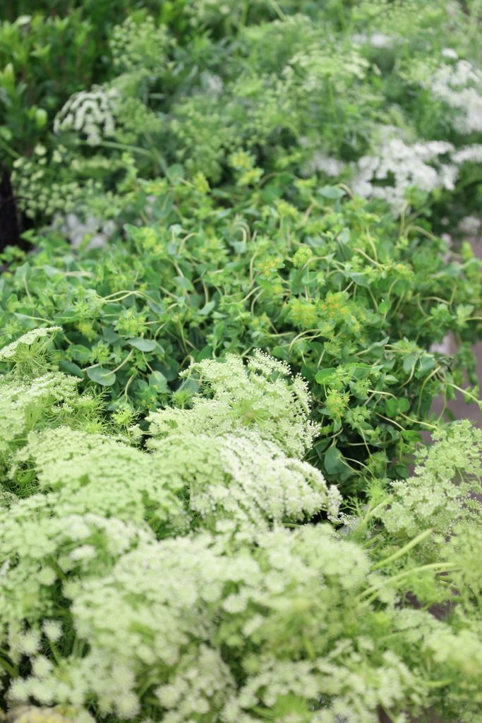 flower arrangement fillers in shades of green at the Los Angeles Flower Market - 18