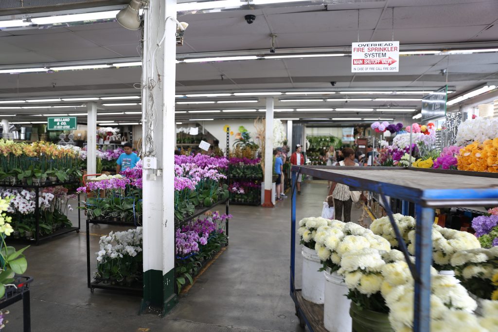 How to Shop at the Los Angeles Flower Market 3