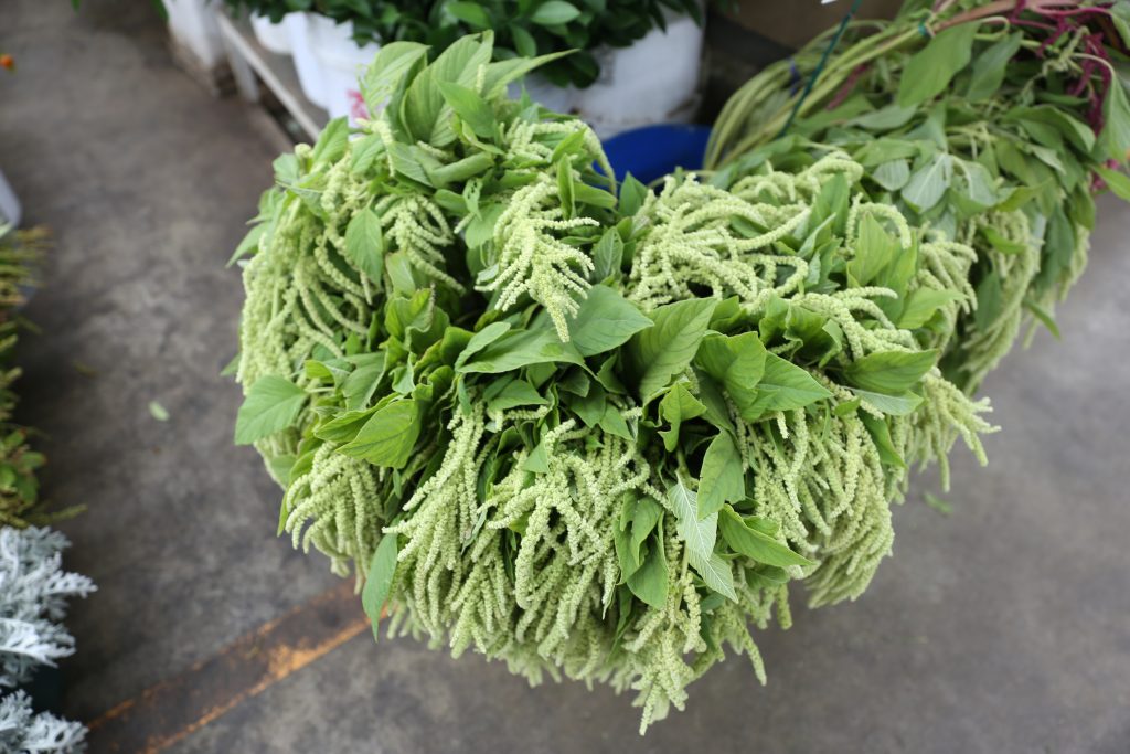 Interesting floral arrangement fillers make for more interesting arrangments. Green tendril fillers found at the Los Angeles Flower Market 