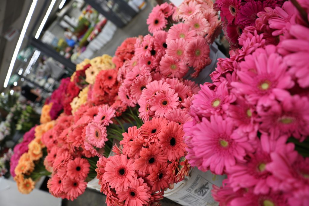 Gerber Daisies wholesale flowers Los Angeles Flower Market