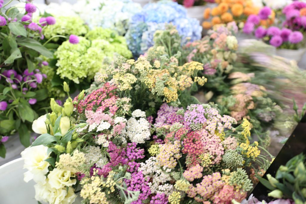 How to Shop at the Los Angeles Flower Market $12