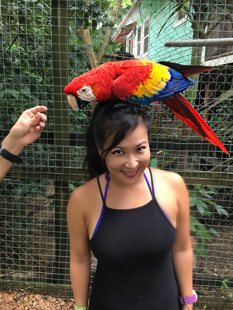 woman with parrot on her head in Roatan