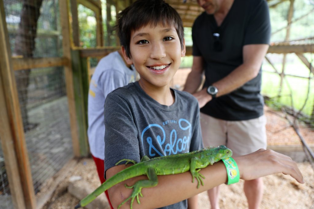 child holding an iguana on vacation in Roatan