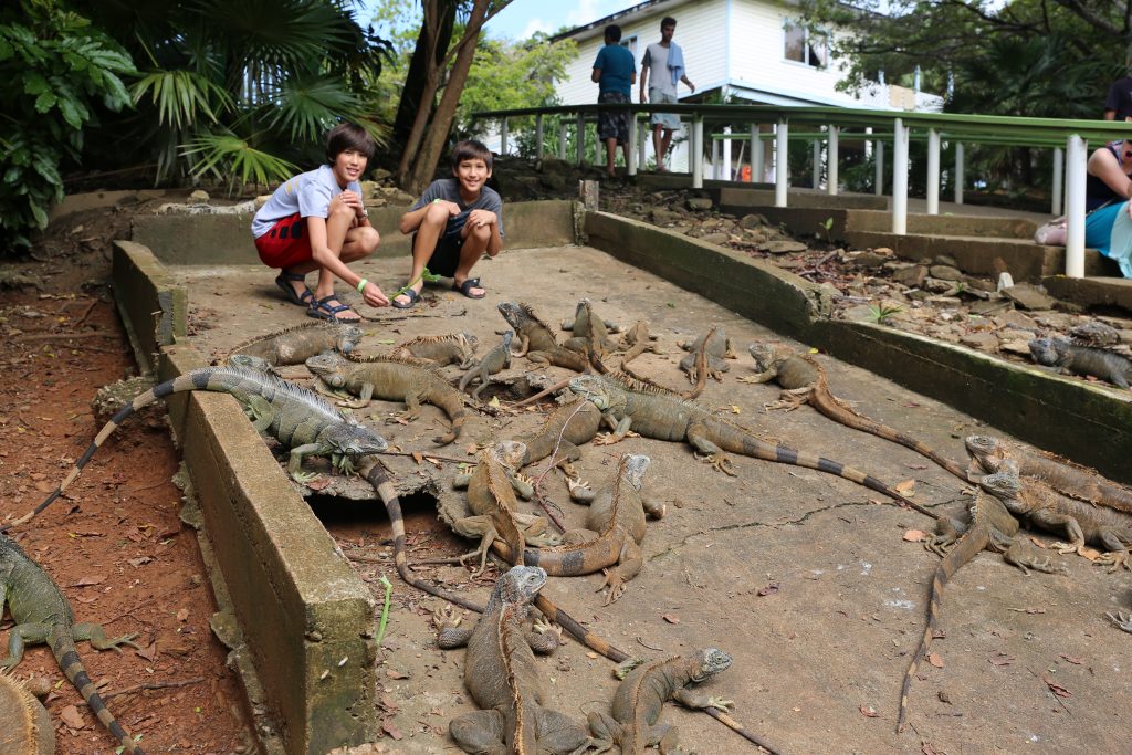 two children at Iguana park in Roatan