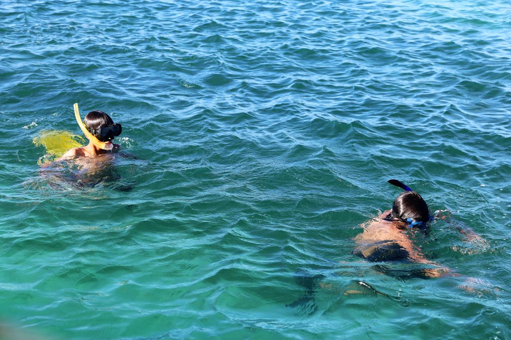 snorkelling in Roatan