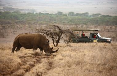 Planning-a-Vacation-to-Africa-lewa-safari-camp-game-drive-rhino