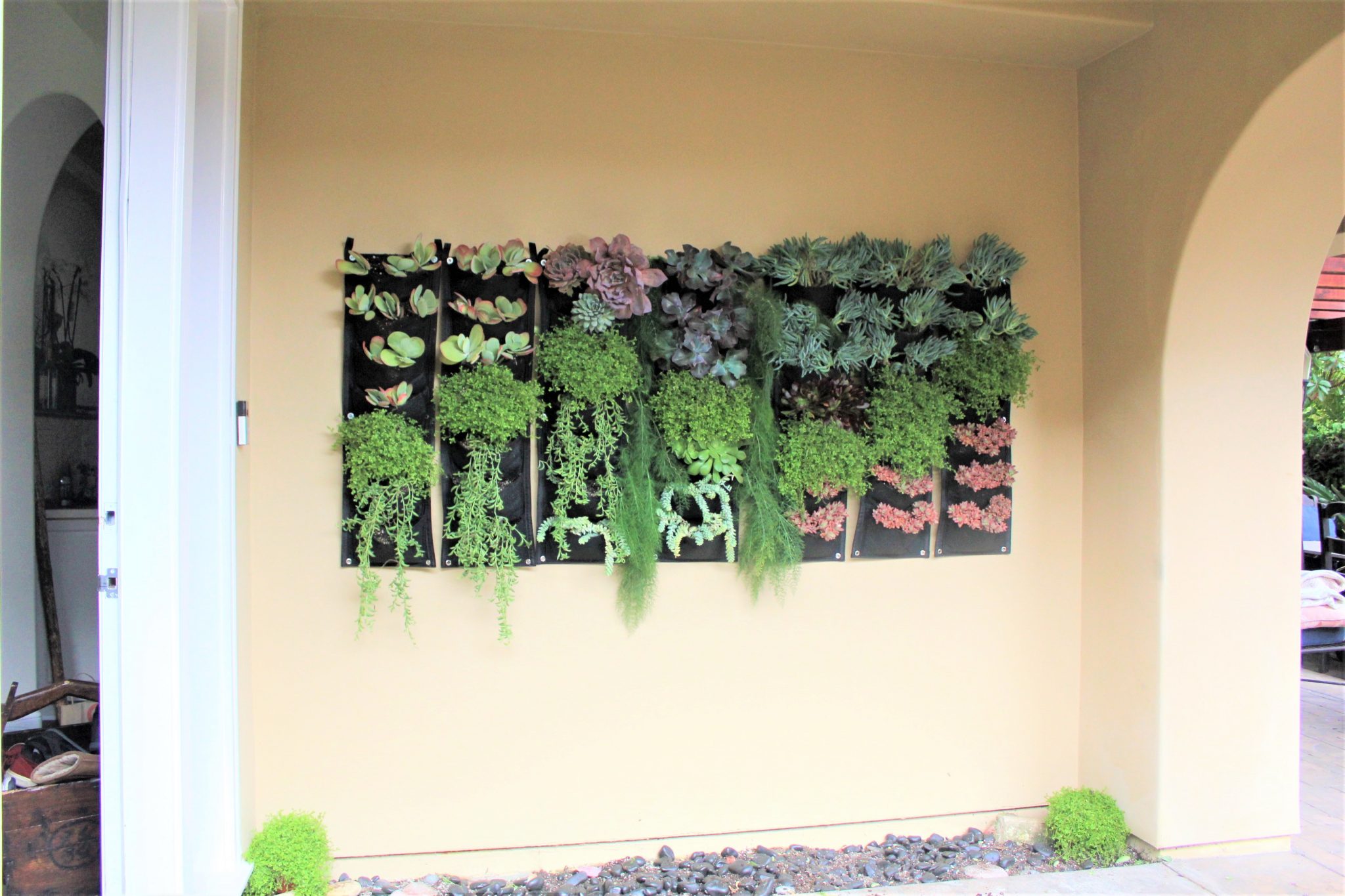 Beautify Your Home with a DIY Living Wall Ounce of Salt