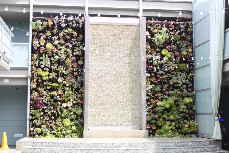 Beautify Your Home with a DIY Living Wall Ounce of Salt