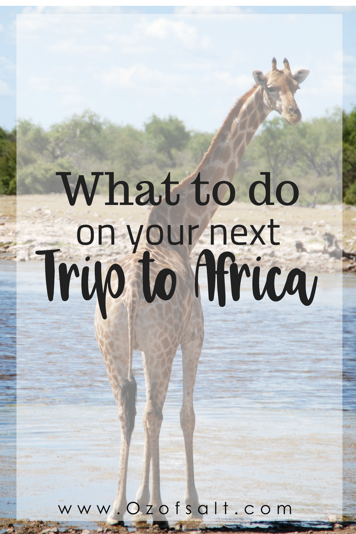 Our African Safari Trip in Kenya at The Maasai Mara