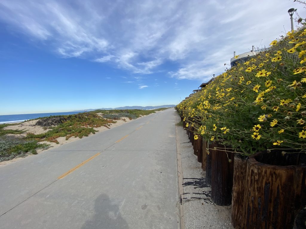 bike path manhattan beach with flowers